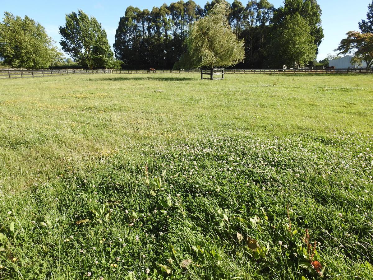Grasslands Bed & Breakfast Cambridge Esterno foto