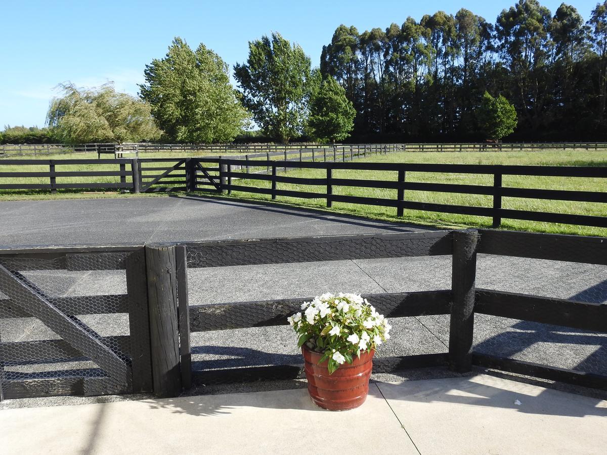 Grasslands Bed & Breakfast Cambridge Esterno foto
