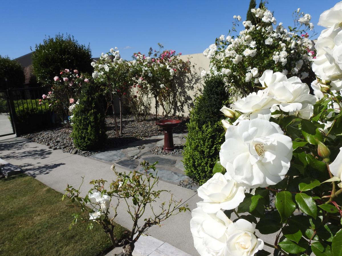 Grasslands Bed & Breakfast Cambridge Esterno foto